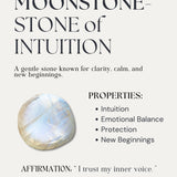 Moonstone Intuition Necklace